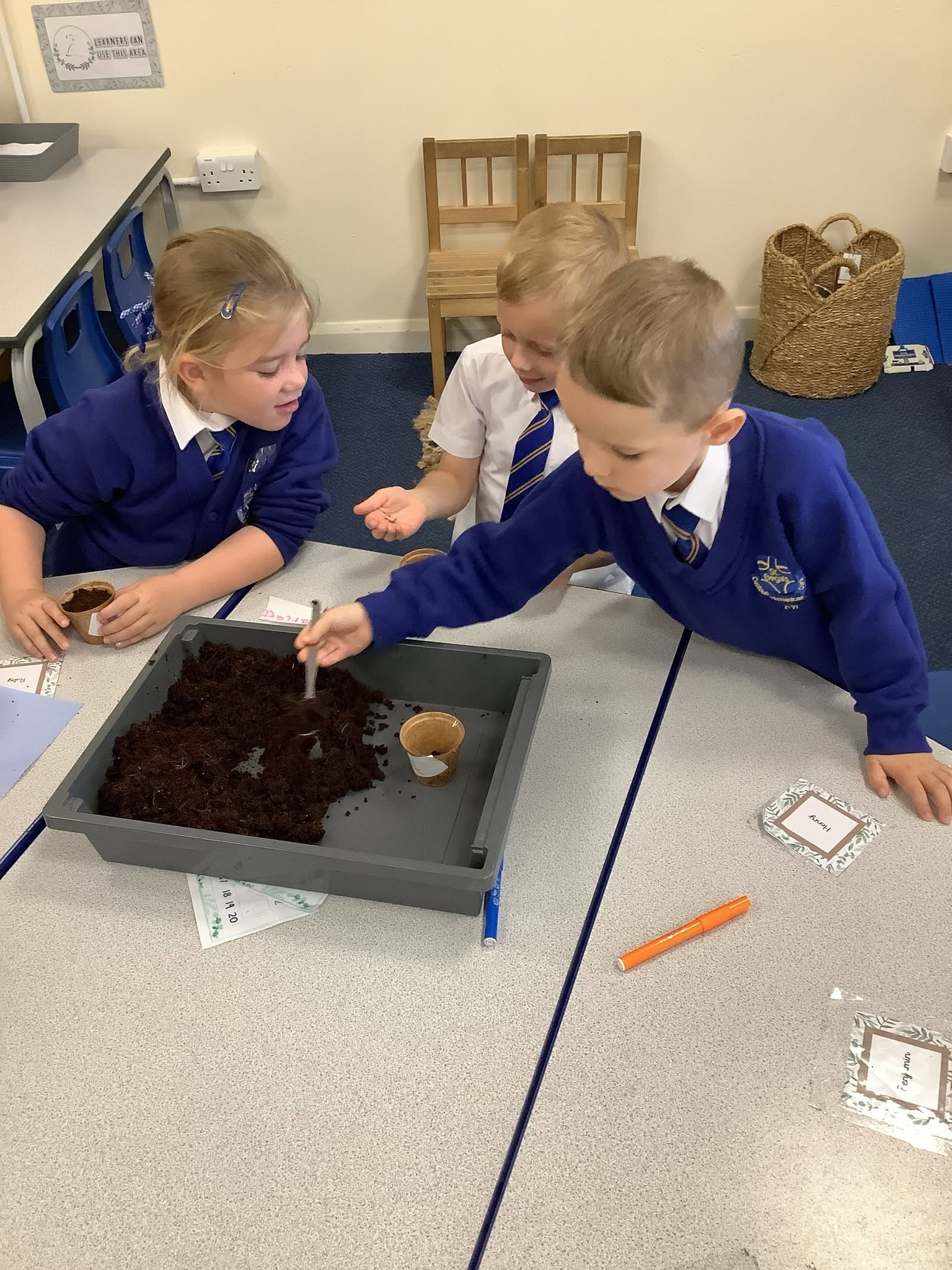 Pupils from St Bega's learning about how plants grow in Science