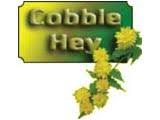 Image of Cobble Hey Farm - Leopards Class