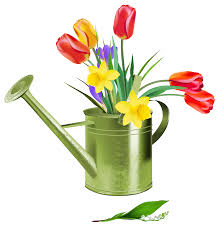 Image of School Closes for Half Term