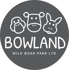 Image of Bowland Wild Boar - Dolphins Class