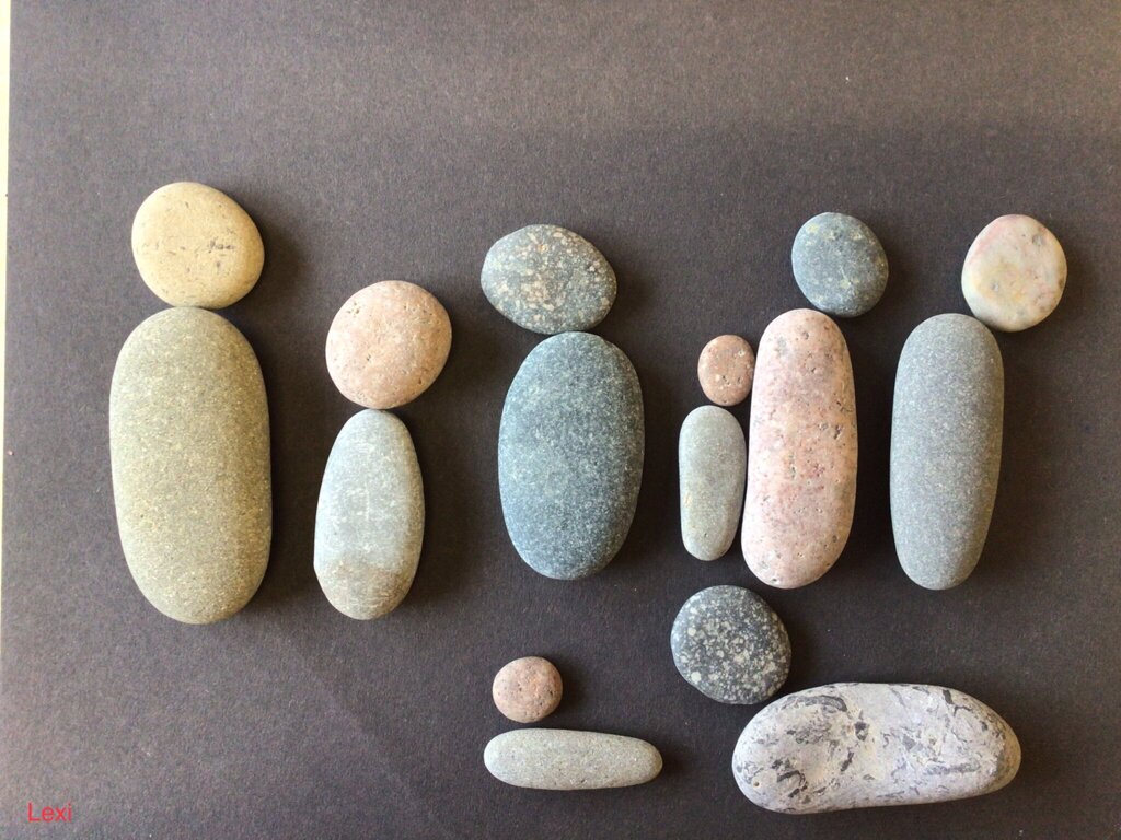 Image of Our pebble families 