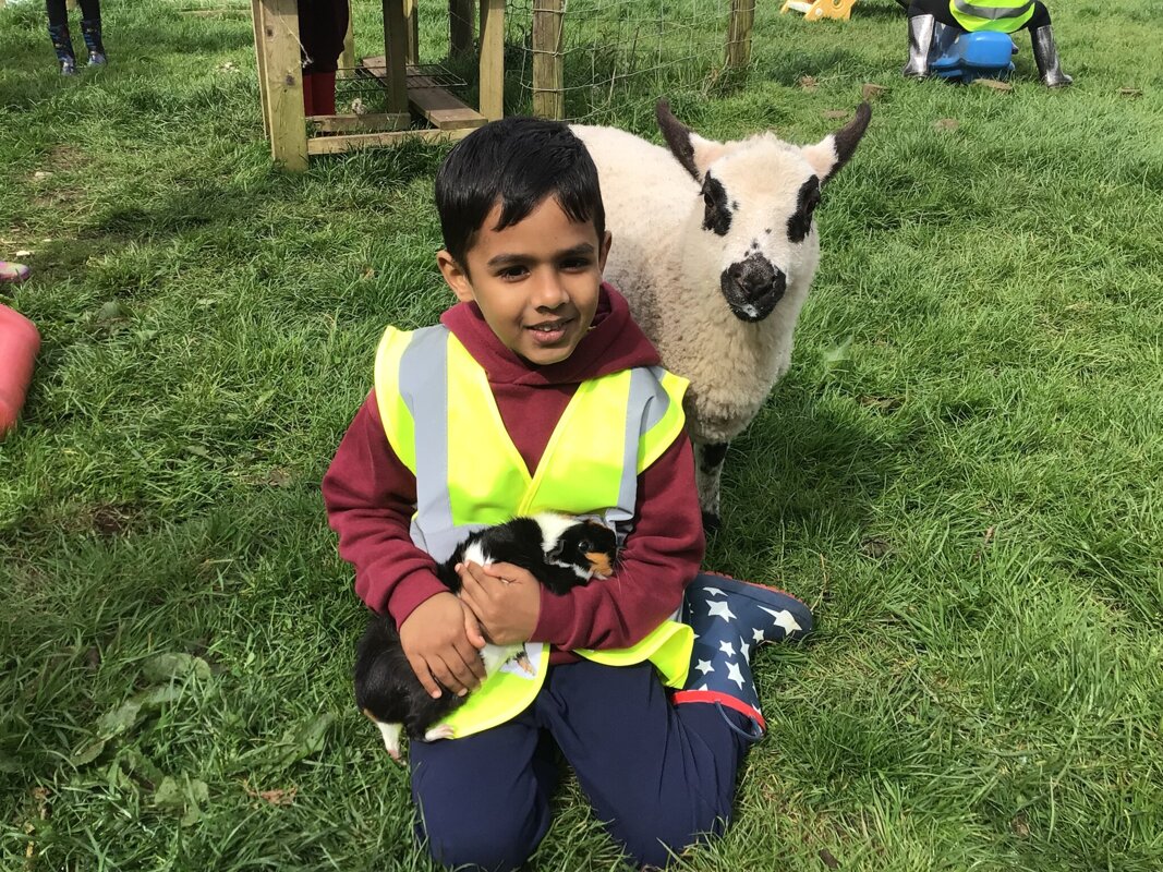 Image of Y1 Visit Pony Pals Lakeland