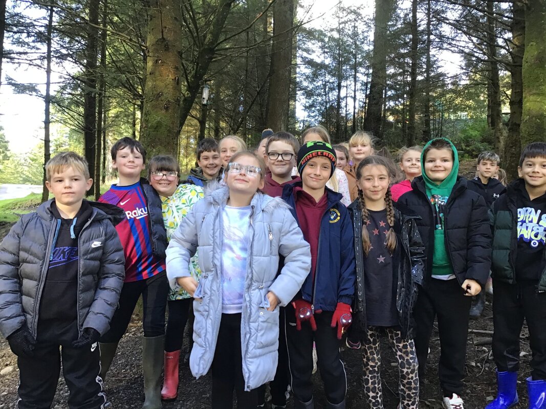 Image of Year 4 Whinlatter Trip October 2024