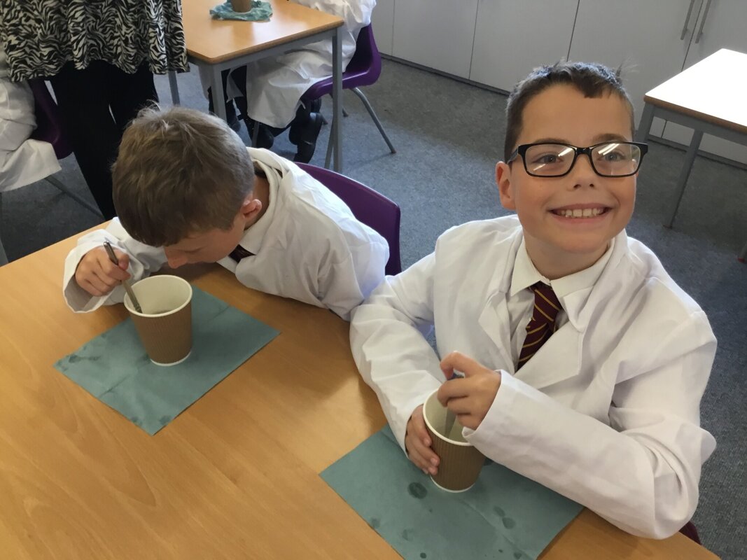 Image of Making Mixtures and Solutions in Year 5