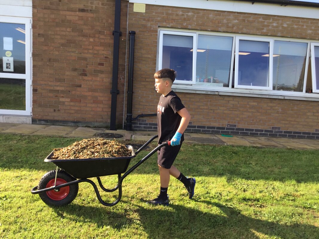 Image of Gardening In Year 5 