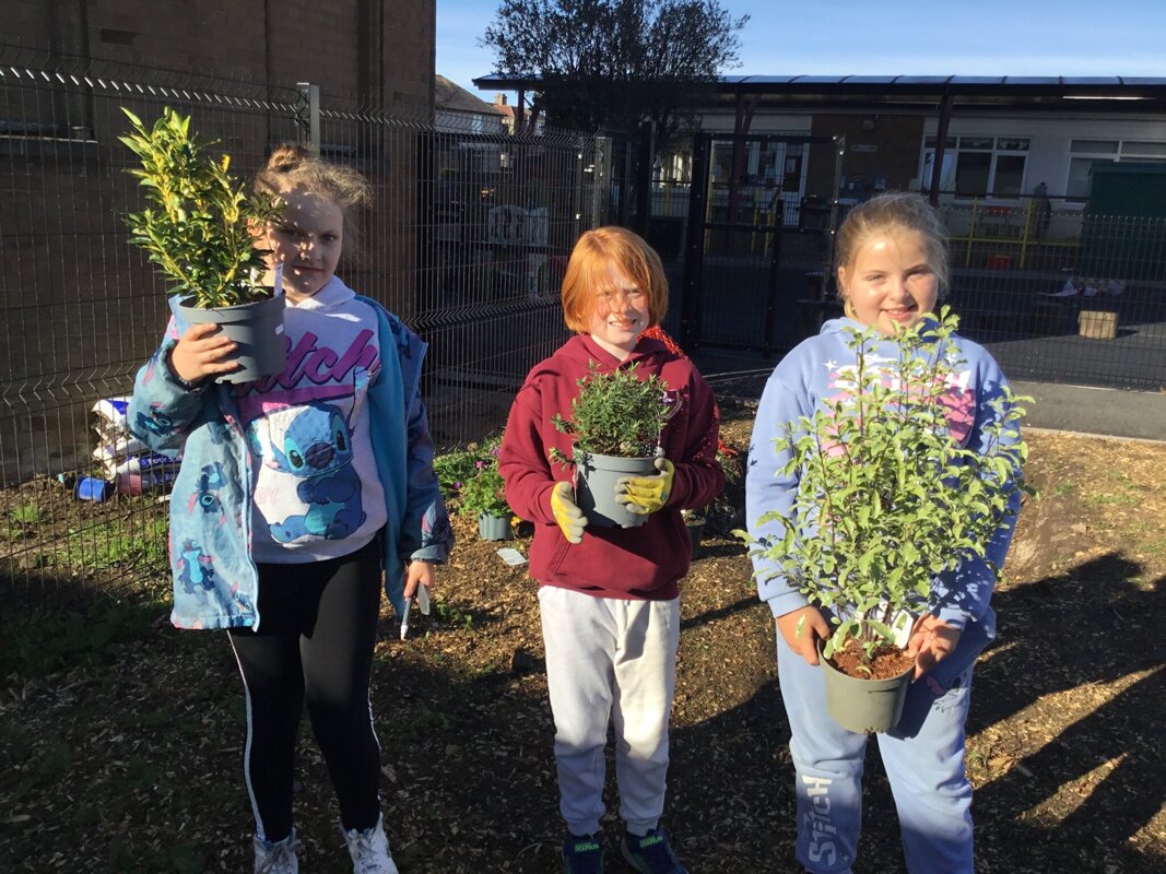 Image of Year 5 Garden Work