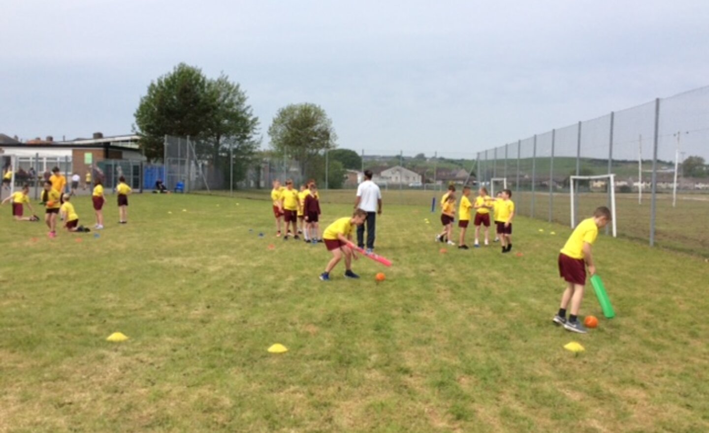 Image of Year 5 Cricket