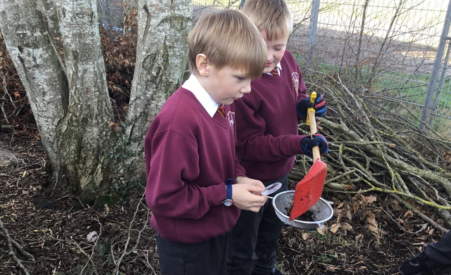 Image of Year3 explore the soil - Is it just dirt?