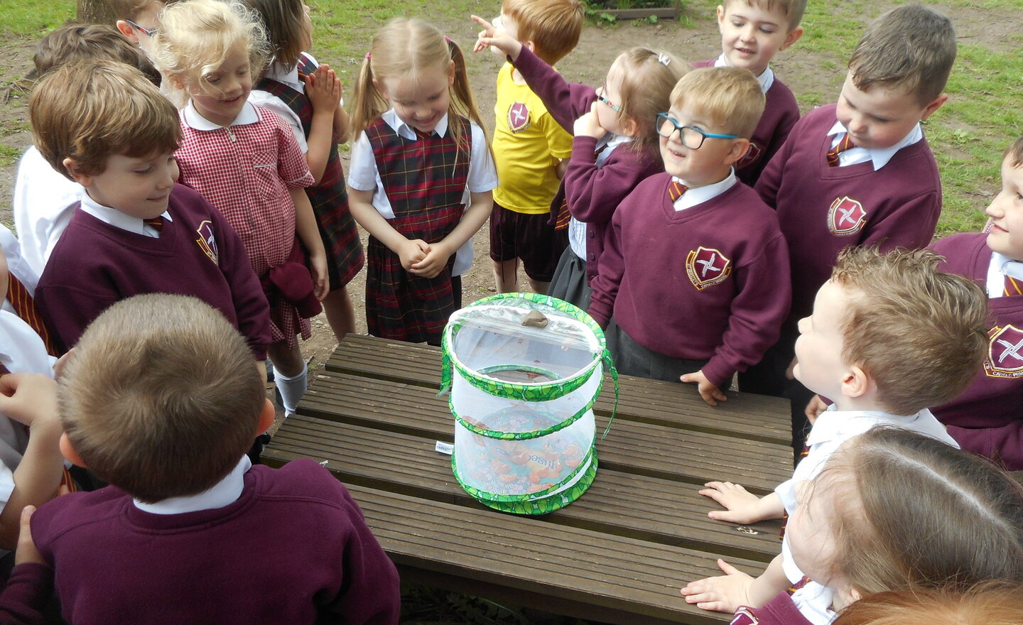 Image of Butterfly release