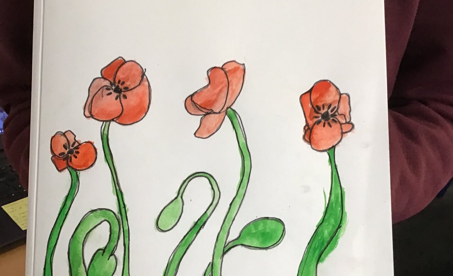 Image of Y6 Remembrance Poppy Watercolours 