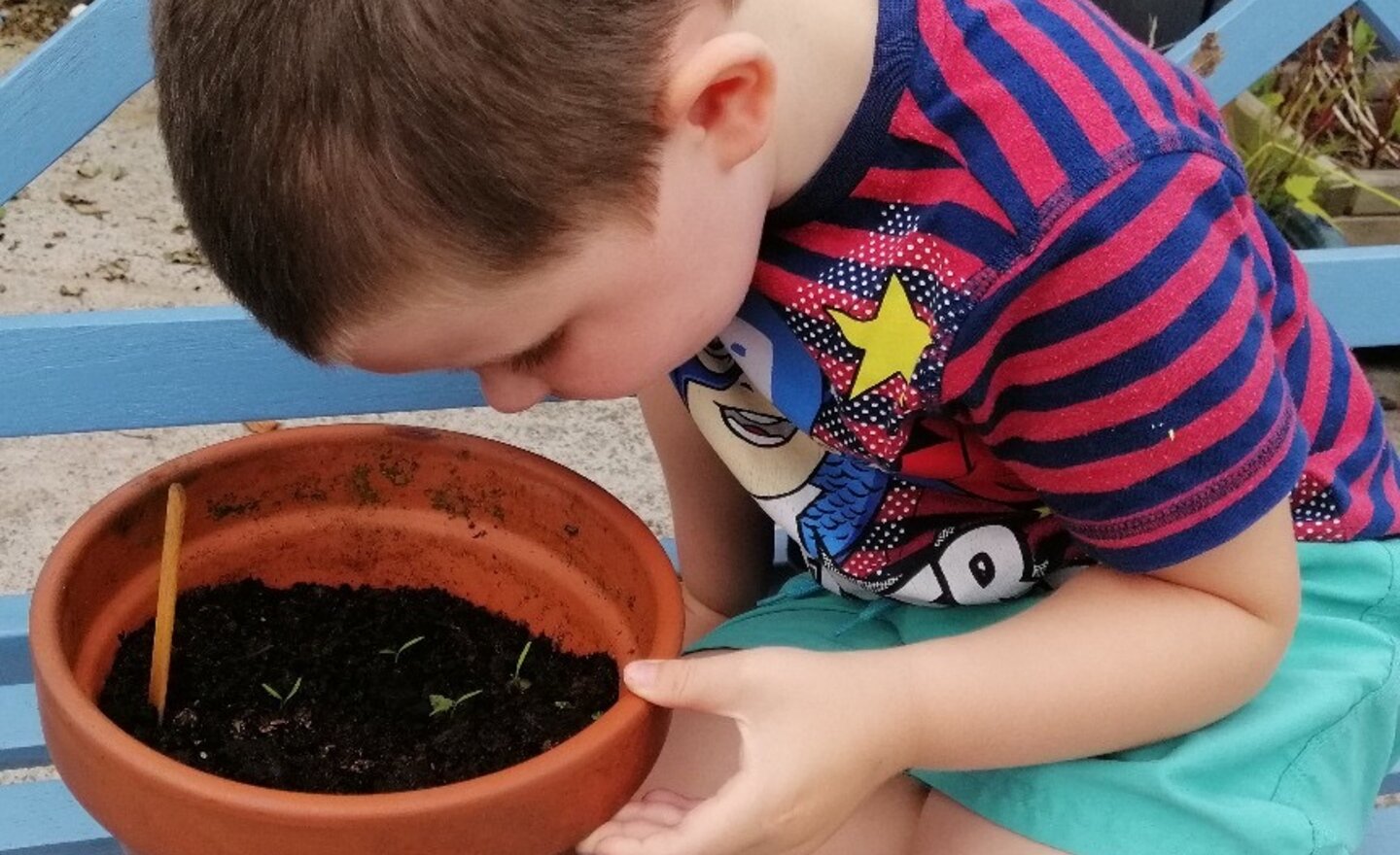 Image of Nursery planting seeds