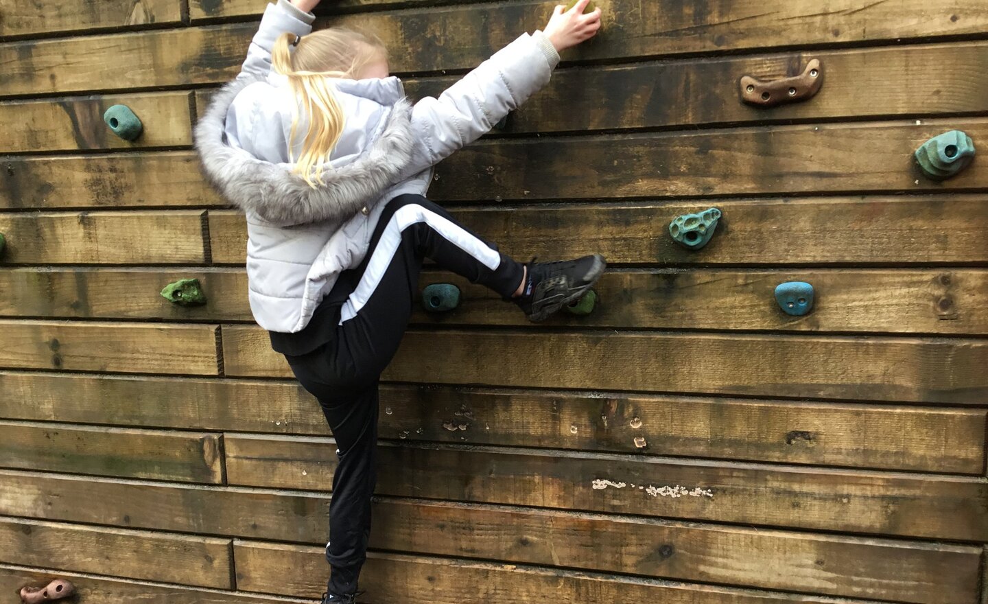 Image of Year 4 Whinlatter Forest Trip 2020 Part 2