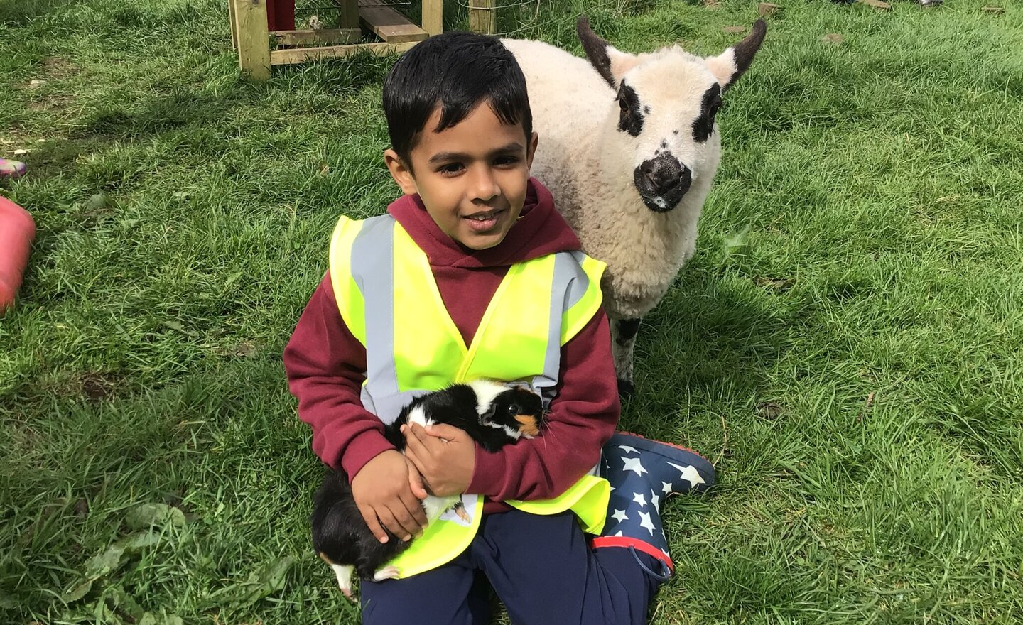 Image of Y1 Visit Pony Pals Lakeland