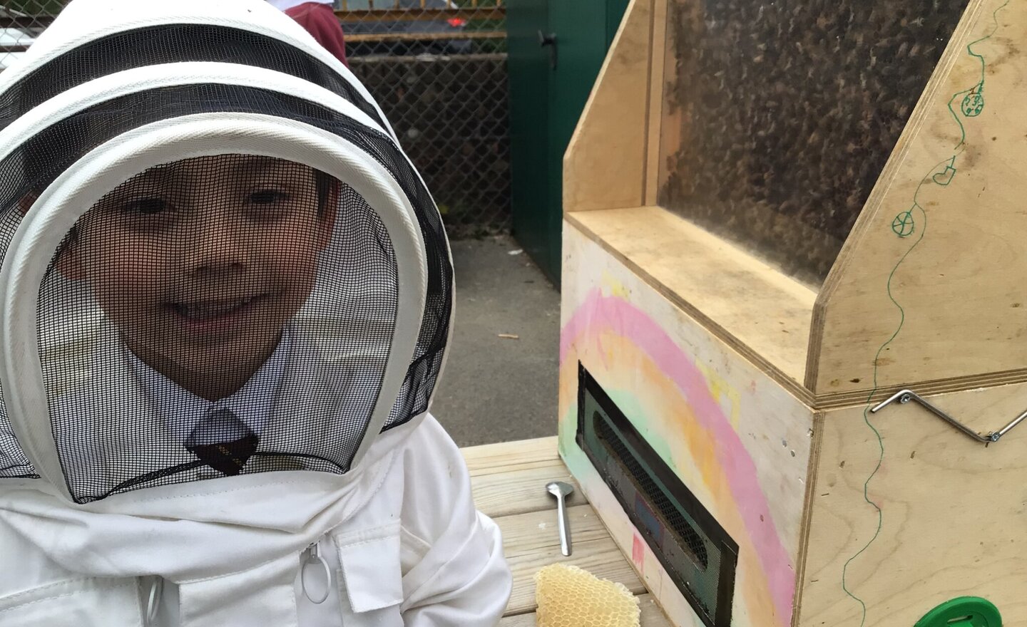 Image of Buzzing About Bees in Year 1