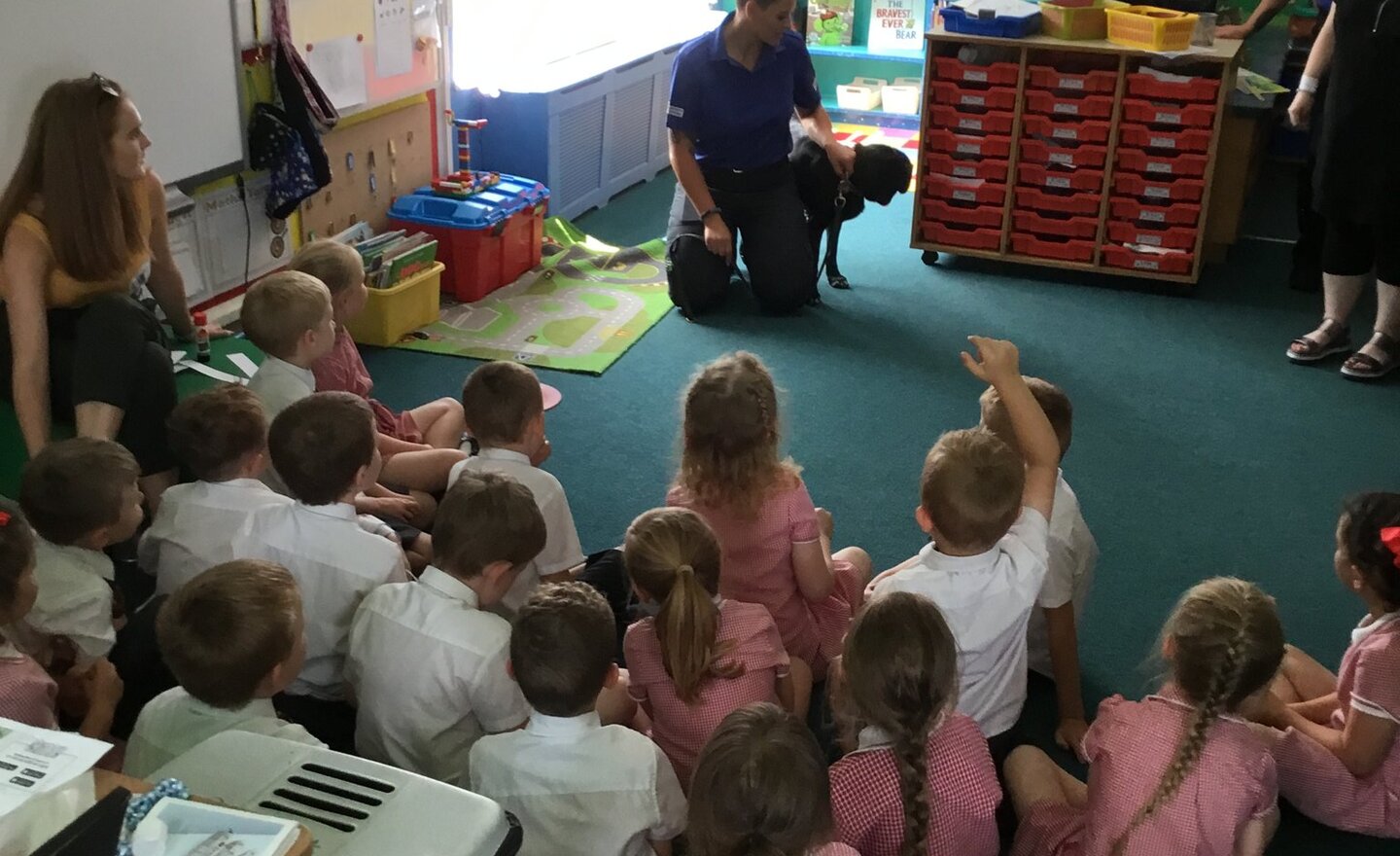 Image of Police dog visits Year 1 