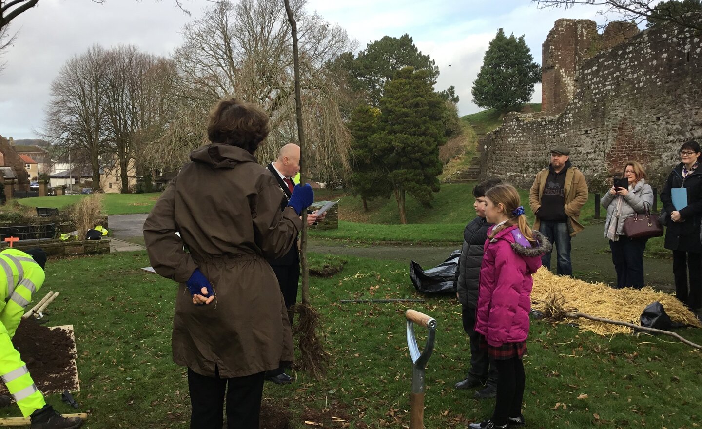 Image of Year 4 Tree Planting 