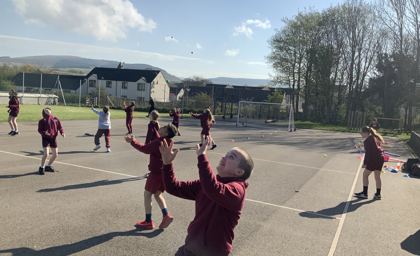 Image of Cricket in Y6