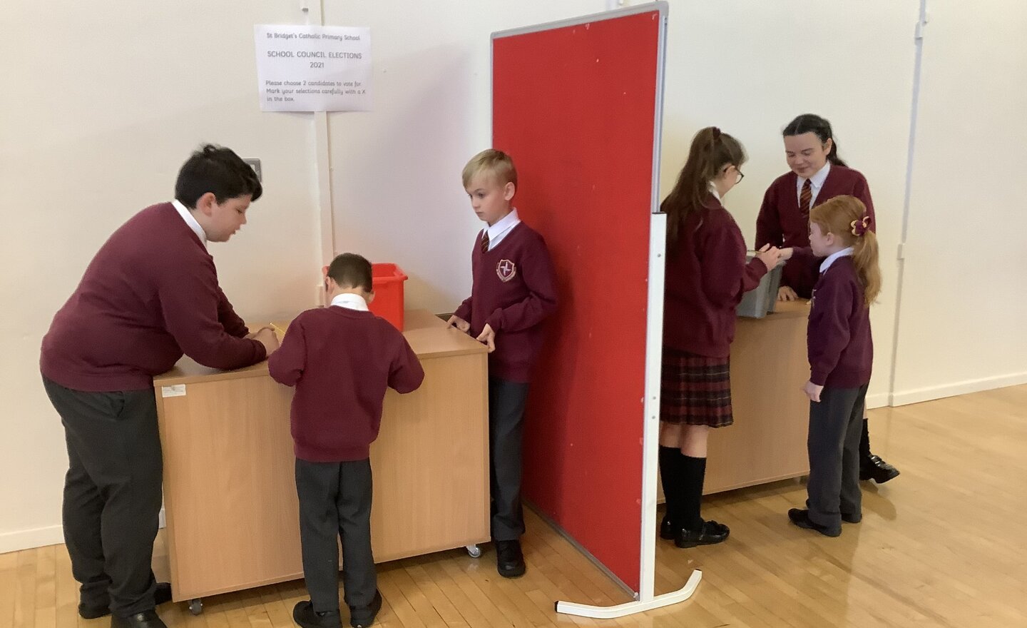 Image of School Council Election in Year 2