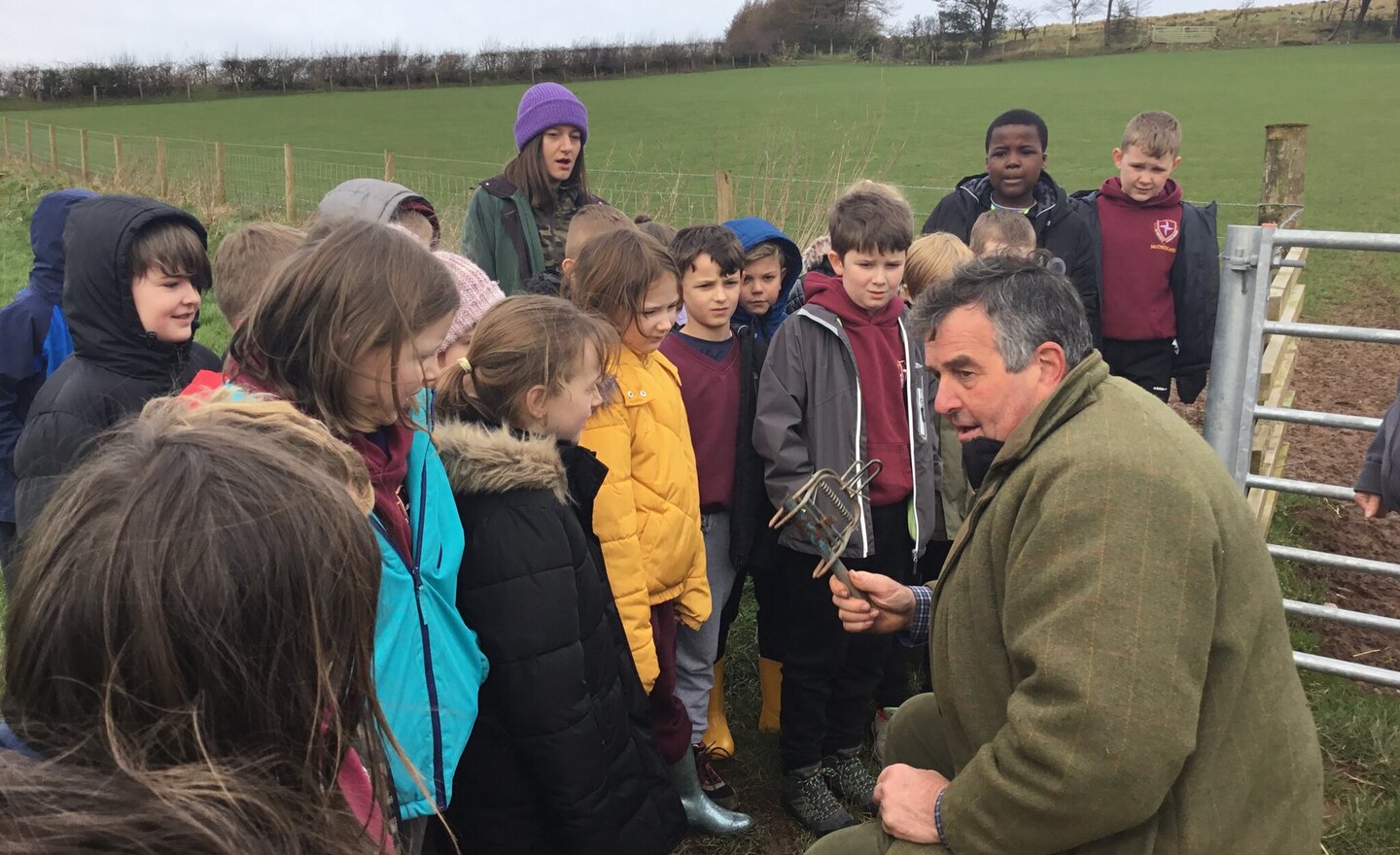 Image of Strudda Bank Farm Year 4 