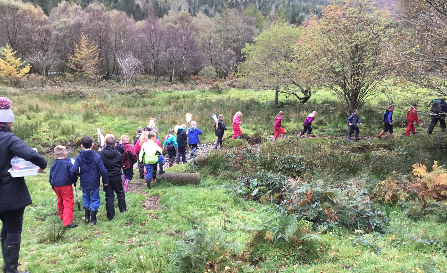 Image of Y4 Residential Gillerthwaite