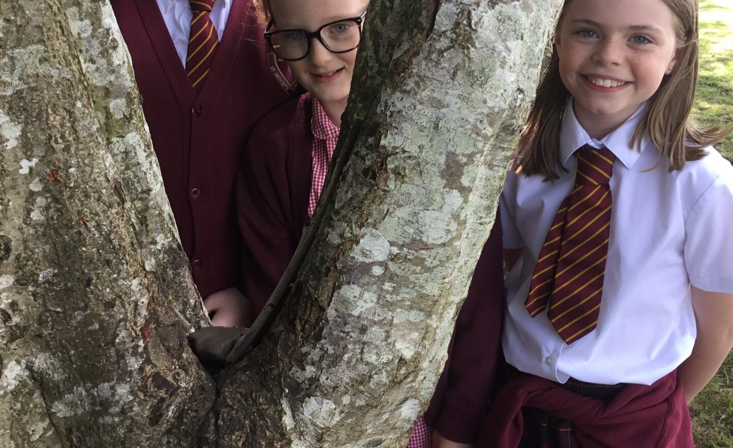 Image of Year 5 Forest School