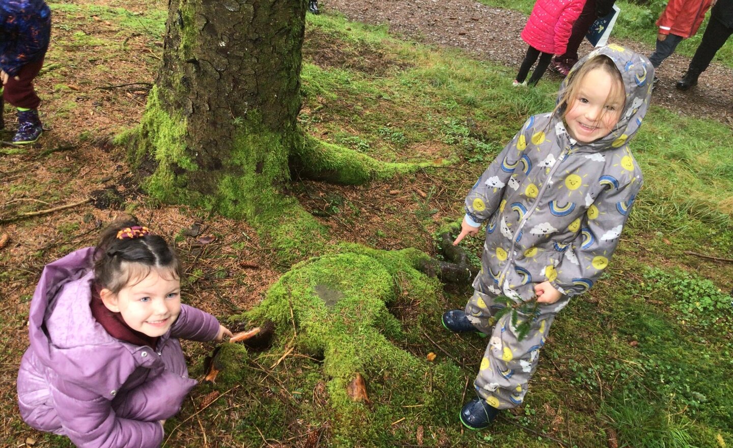 Image of Year 1 Explore Seasons at Whinlatter 