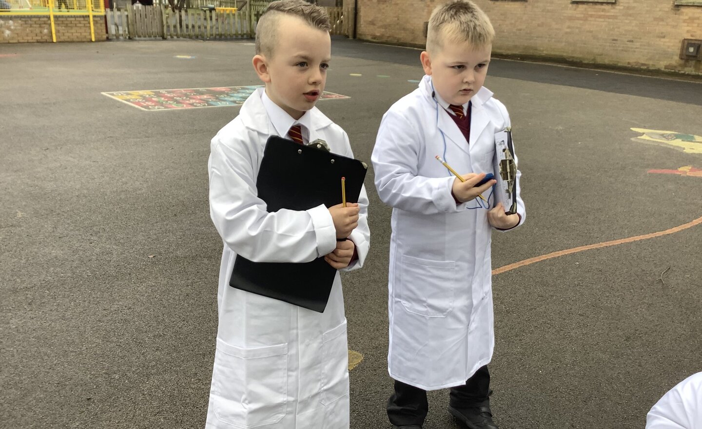 Image of Year 2 Science Week 2021