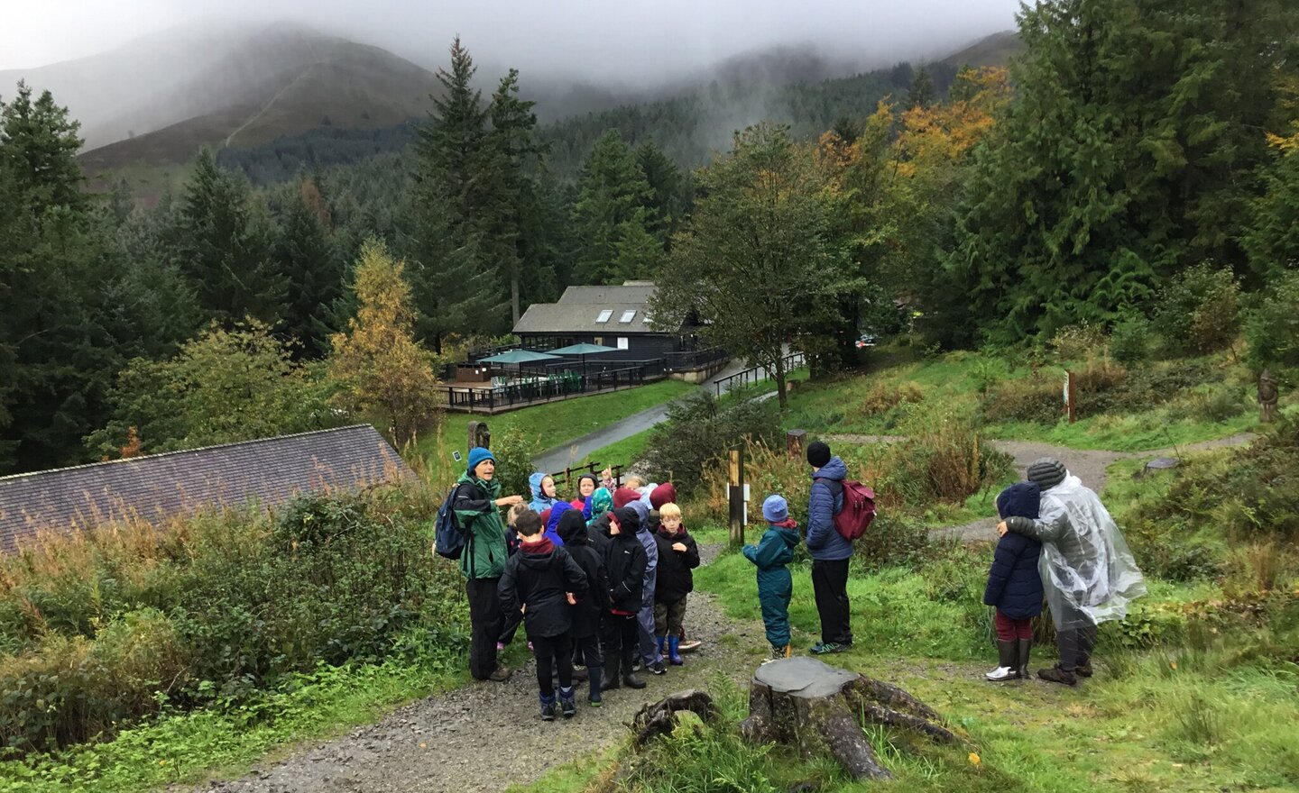 Image of Whinlatter Habitats 2023