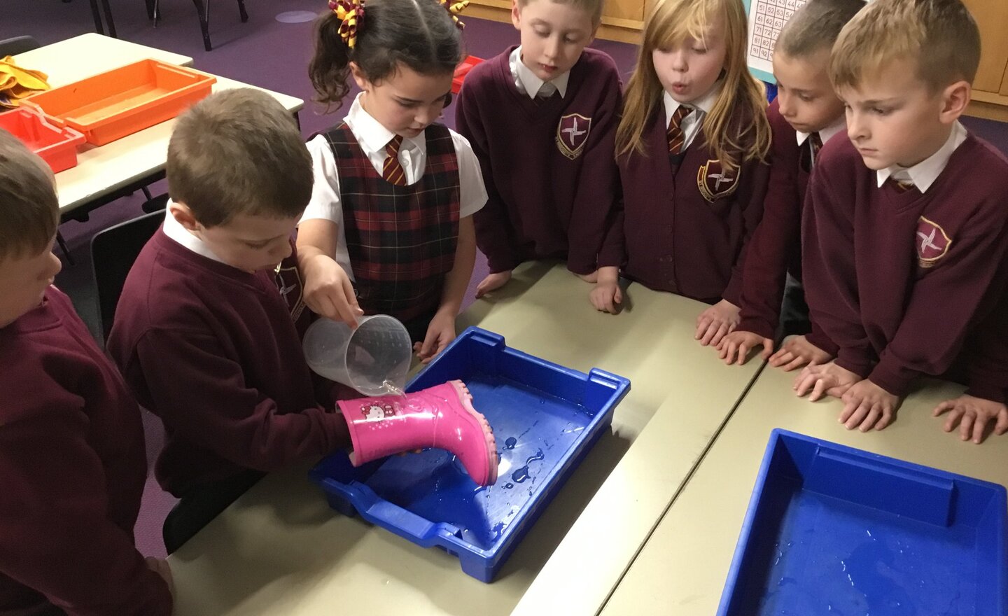 Image of Year 2 Science Investigation