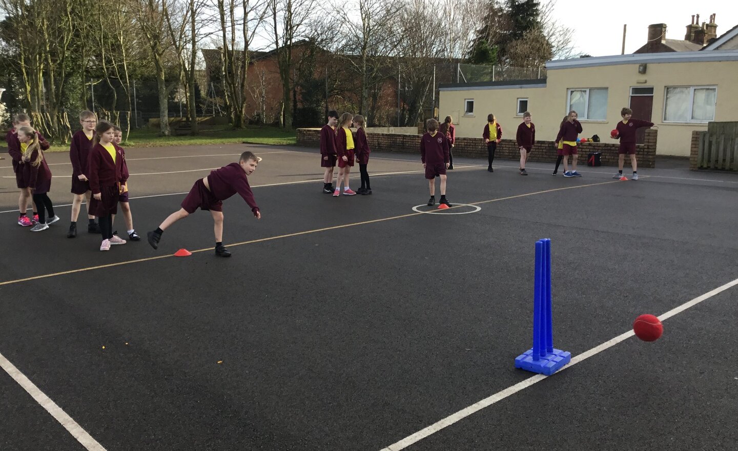 Image of Y4 cricket