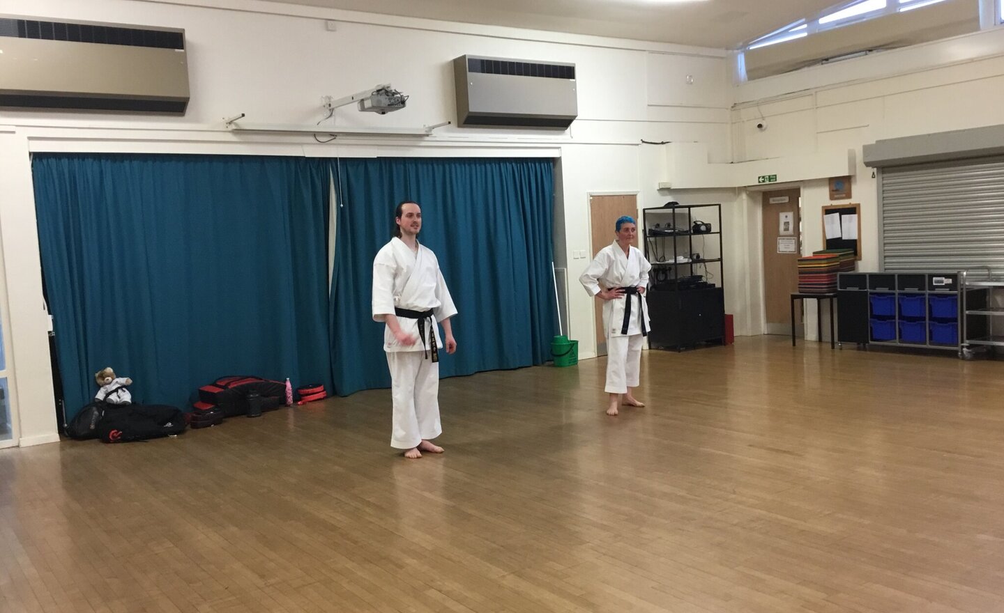 Image of Karate Taster Session Y6