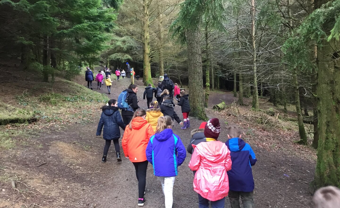 Image of Year 4 Whinlatter Forest Trip 2020