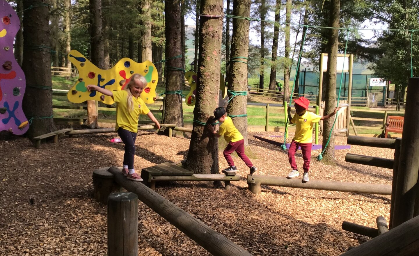 Image of Reception end of Year trip to Rookery Wood