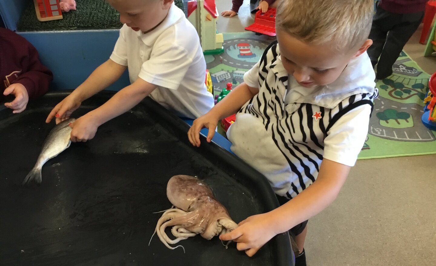 Image of Nursery exploring sea creatures