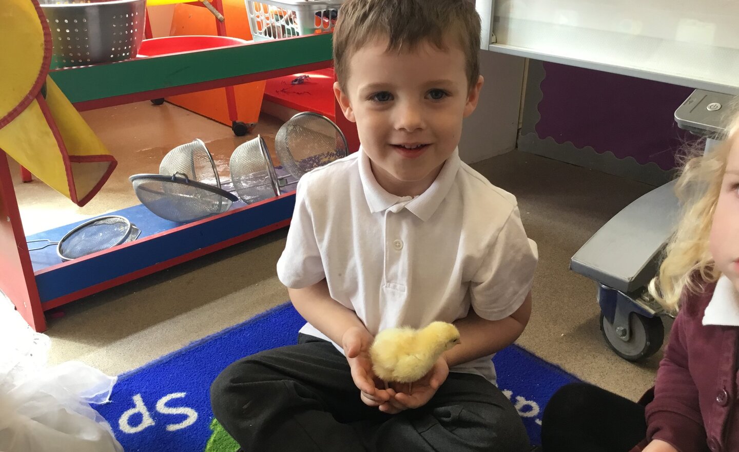 Image of Nursery’s week of chick fun