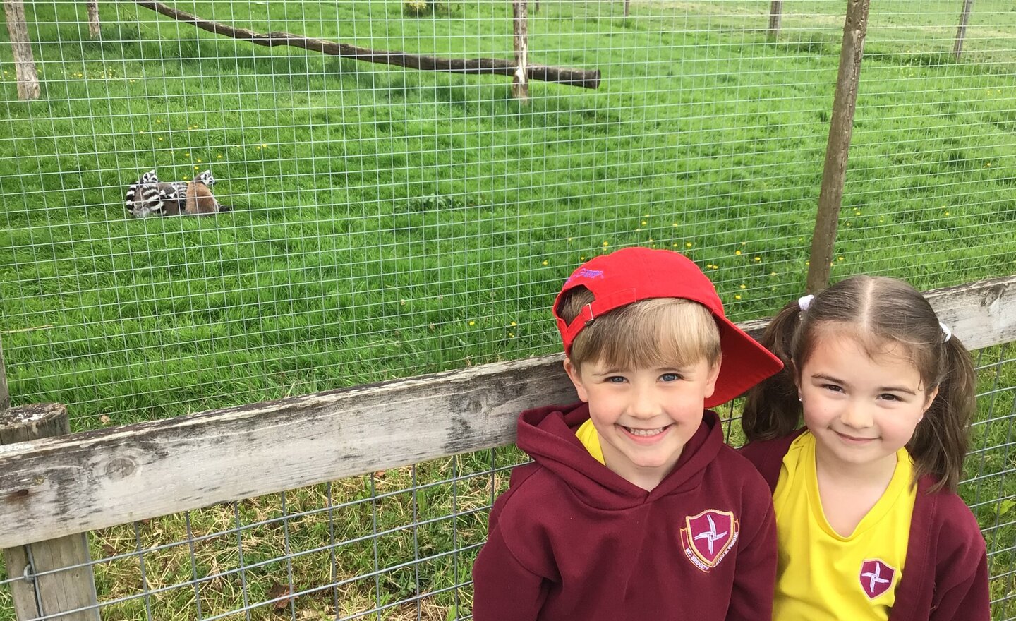 Image of Wild About Wildlife in Year 1