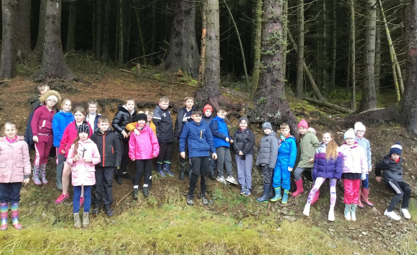 Image of Y5 Whinlatter