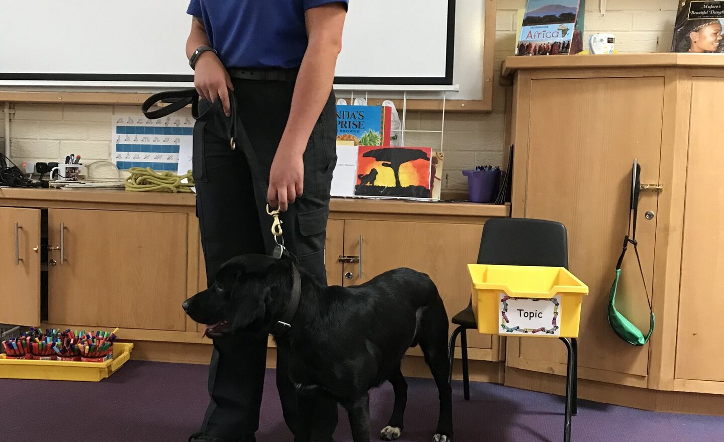 Image of Police Dog visits Year 2