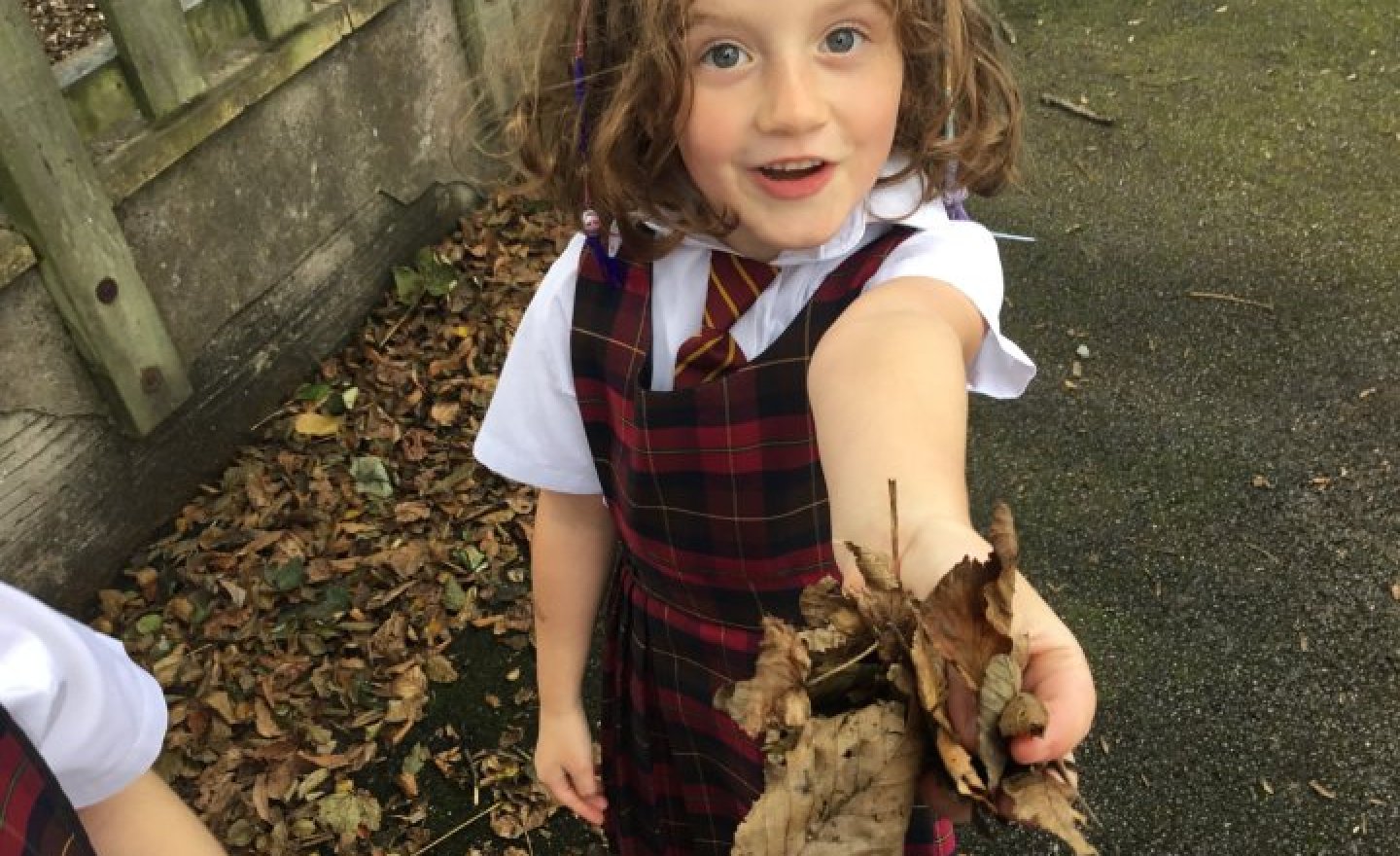 Image of Year 2 Science Walk 2026 