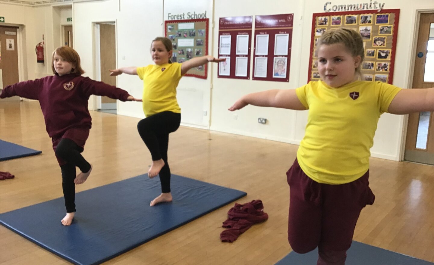 Year 4 Gymnastics 