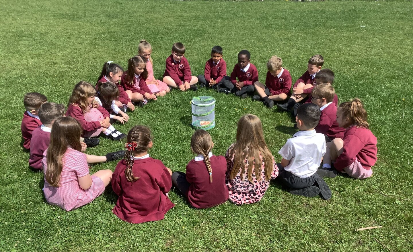 Image of Learning about the Butterfly Life Cycle