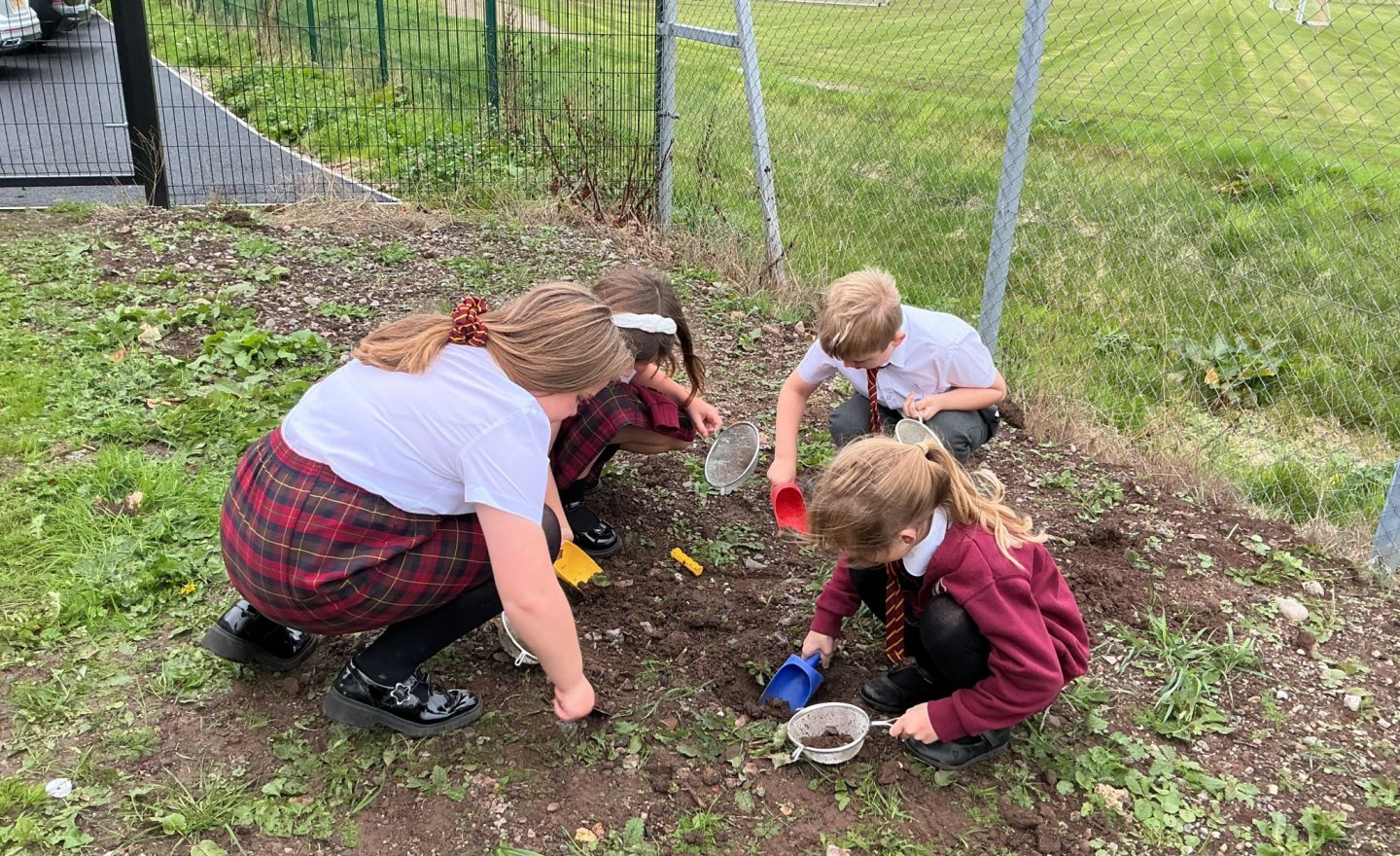 Image of Year 3 Soil Sample Explorations