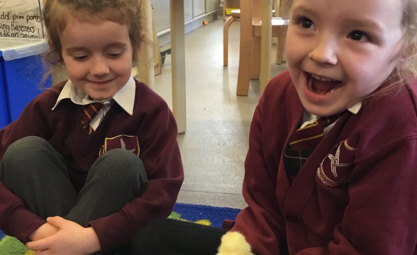 Image of Cuddles with feathered friends 