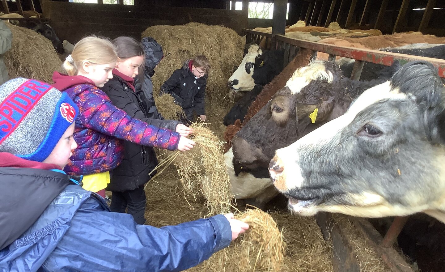 Image of Year 2 Visit to Strudda Bank Farm March 2024