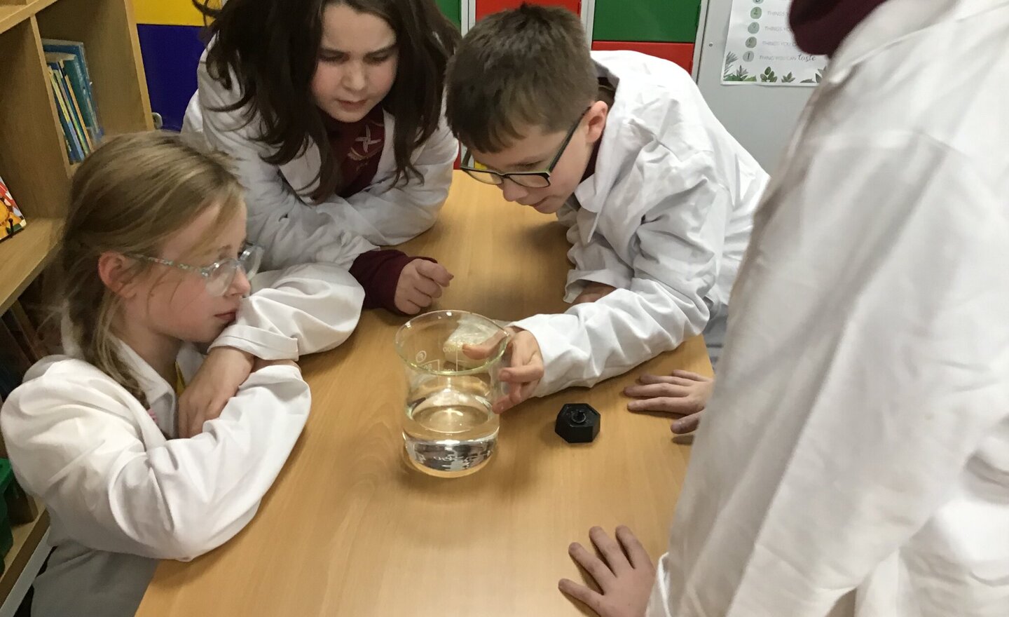 Image of Year 4 Discovering Mass and Matter