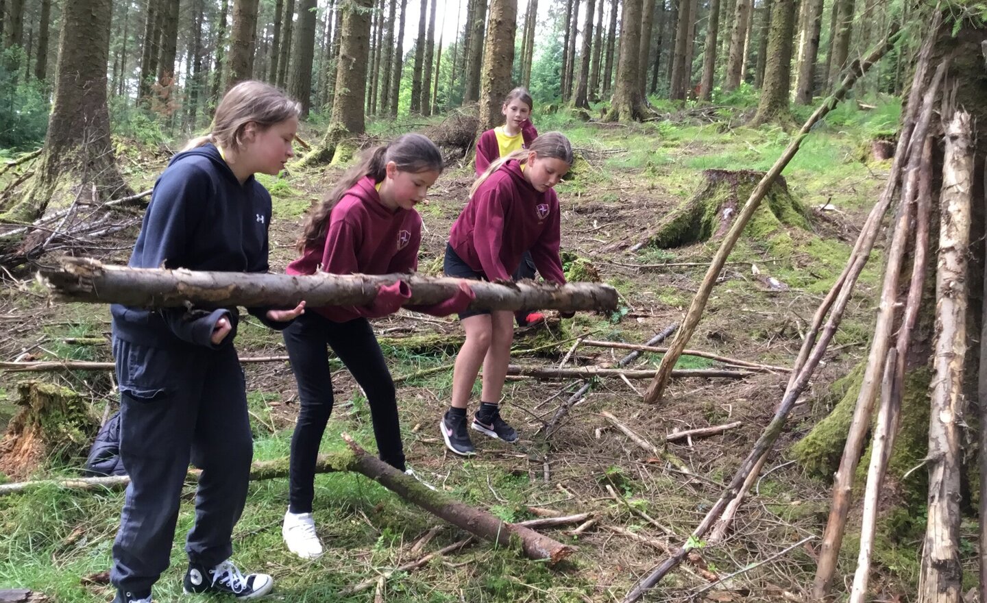 Image of Y5 Orienteering and Den Building at Whinlatter