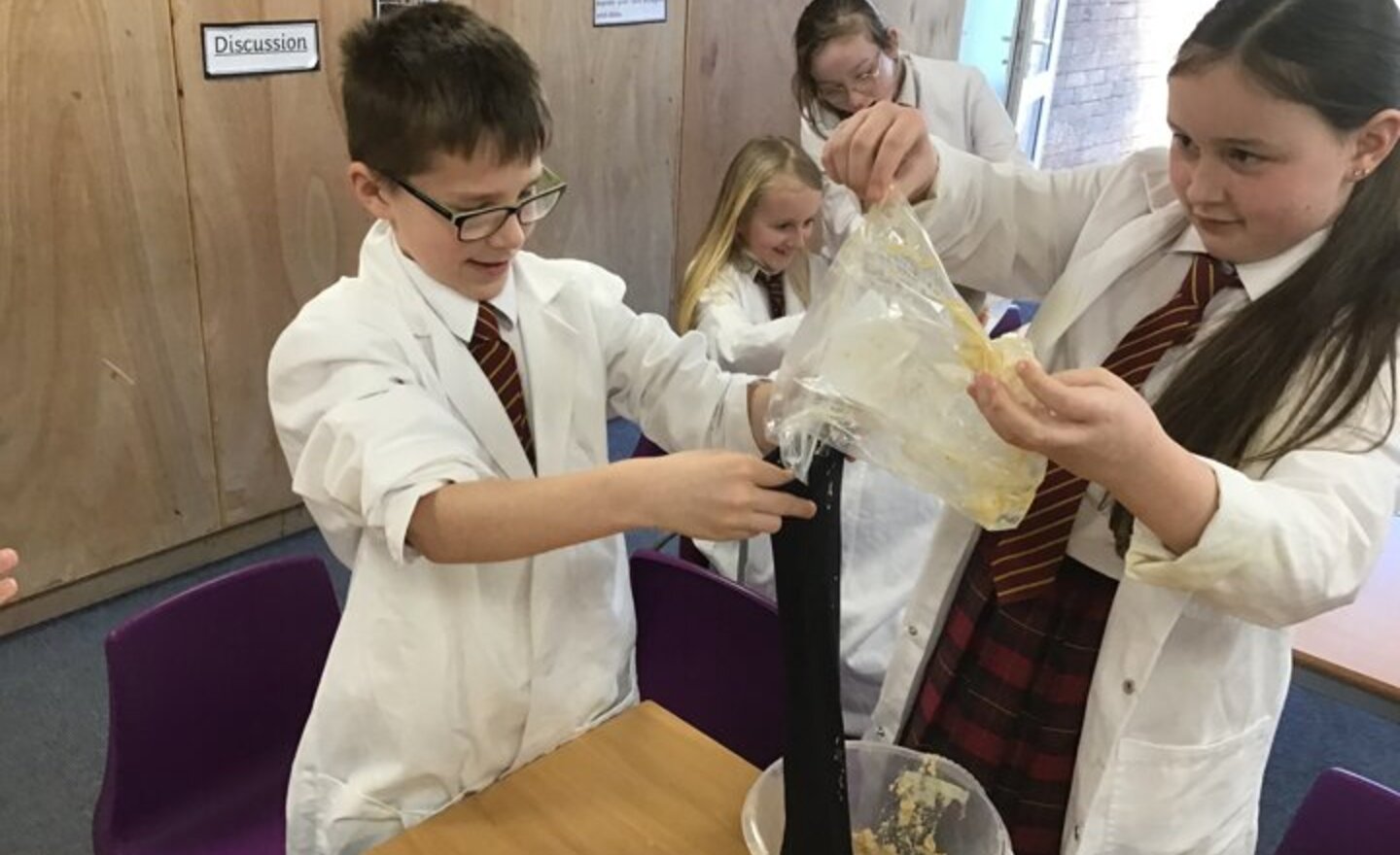 Image of Year 4 Exploring The Digestive System