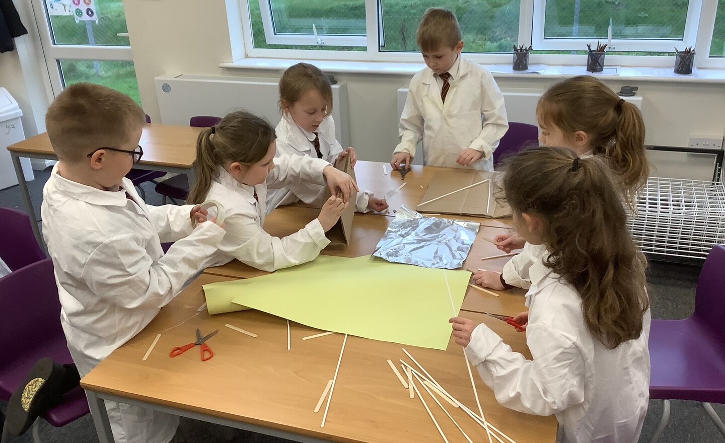 Image of Year 2 Science Week 2026