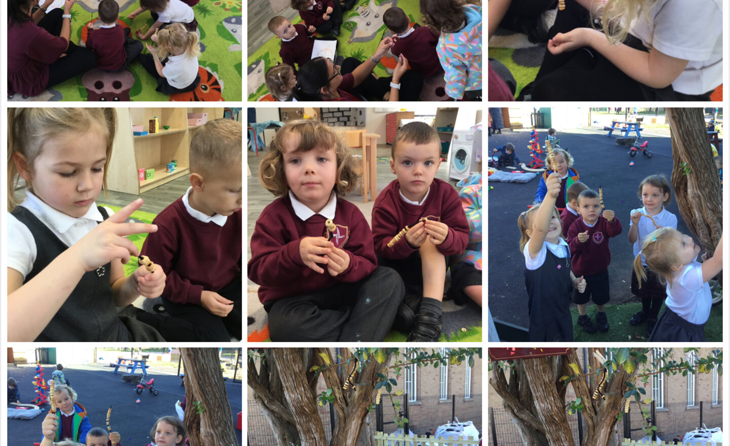 Image of Nursery Celebrate St Francis