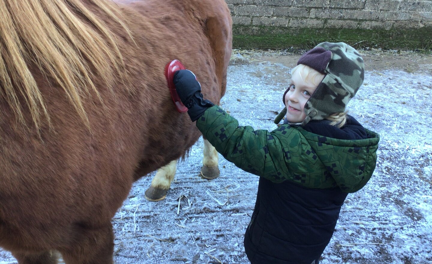 Image of Reception visiting Pony pals